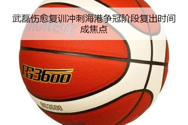 武磊伤愈复训冲刺海港争冠阶段复出时间成焦点